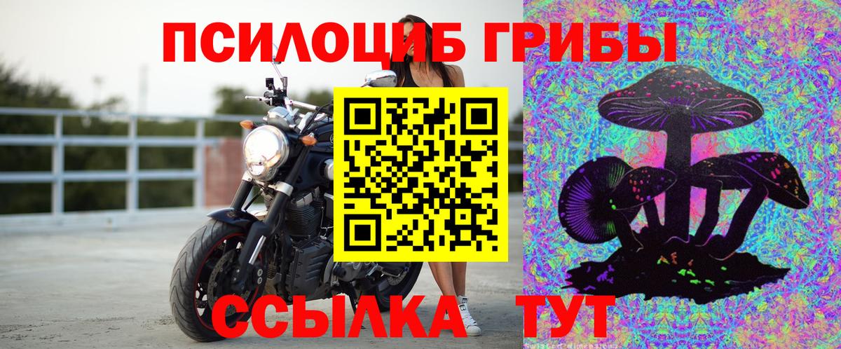 Псилоцибиновые грибы MAGIC MUSHROOMS  Псилоцибиновые грибы GOLDEN TEACHER  Тамбов  Вход с VPN 