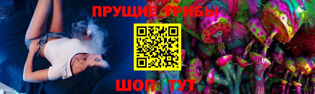 Псилоцибиновые грибы мицелий Тамбов